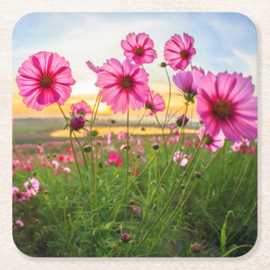 Blumen |Provinz Chiang Rai, Thailand Rechteckiger Pappuntersetzer (Vorderseite)