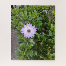 Blumen