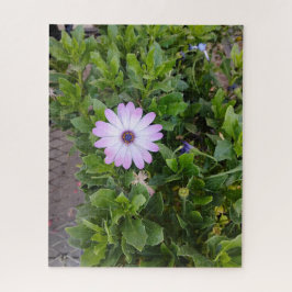 Blumen puzzle