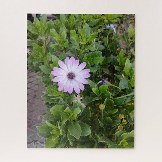 Blumen  puzzle (Vertikal)