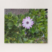 Blumen  puzzle (Horizontal)