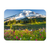 Blumen | Rainier-Wildblumen Magnet (Horizontal)