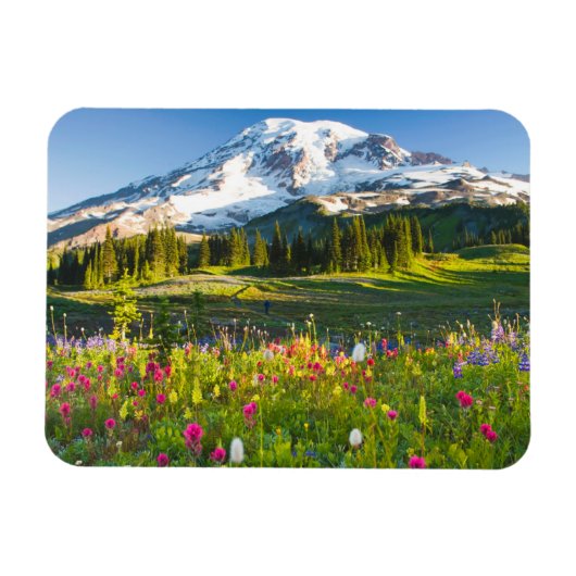 Blumen | Rainier-Wildblumen Magnet (Horizontal)