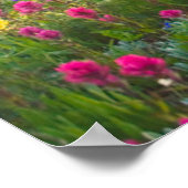 Blumen | Rainier-Wildblumen Poster (Ecke)
