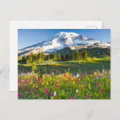 Blumen | Rainier-Wildblumen Postkarte (Vorne/Hinten)