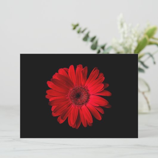 Blumen | Red Gerbera Daisy Dankeskarte (Stehend Vorderseite)