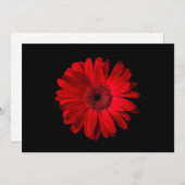 Blumen | Red Gerbera Daisy Dankeskarte (Vorne/Hinten)
