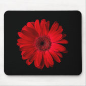 Blumen | Red Gerbera Daisy Mousepad (Vorne)