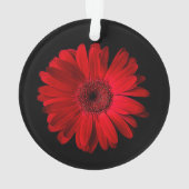Blumen | Red Gerbera Daisy Ornament (Rückseite)