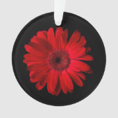 Blumen | Red Gerbera Daisy Ornament (Vorderseite)