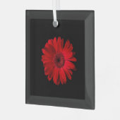 Blumen | Red Gerbera Daisy Ornament Aus Glas (Vorderseite links)