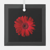 Blumen | Red Gerbera Daisy Ornament Aus Glas (Vorderseite)