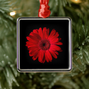 Blumen   Red Gerbera Daisy Ornament Aus Metall