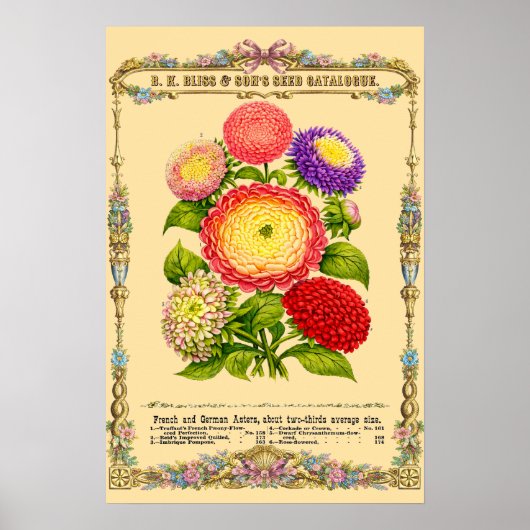 Blumen Retro Viktorianische Botanische Kunst Poster (Vorne)