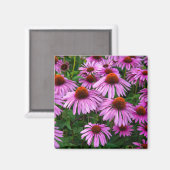 Blumen | Rosa Blumengarten Magnet (Vorderseite/Rückseite)