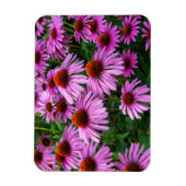 Blumen | Rosa Blumengarten Magnet (Vertikal)