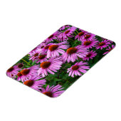 Blumen | Rosa Blumengarten Magnet (Linke Seite)