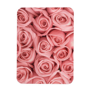 Blumen   Rosa Rosen Magnet