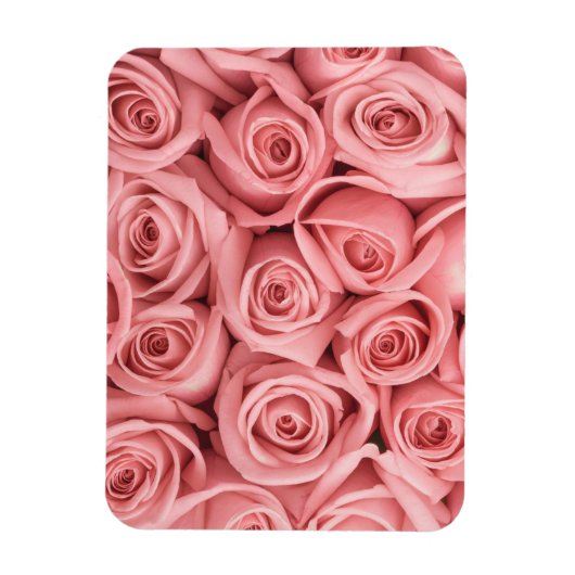 Blumen | Rosa Rosen Magnet (Vertikal)