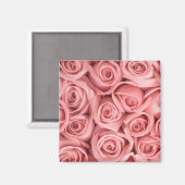 Blumen | Rosa Rosen Magnet (Vorderseite/Rückseite)