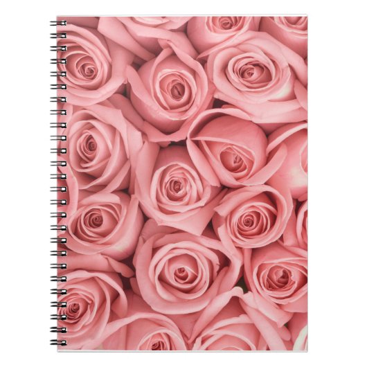 Blumen | Rosa Rosen Notizblock (Vorderseite)
