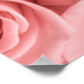 Blumen | Rosa Rosen Poster (Ecke)