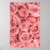 Blumen | Rosa Rosen Poster (Vorne)