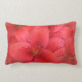 Blumen-rote Lilien-Garten-Foto-Regentropfen Lendenkissen