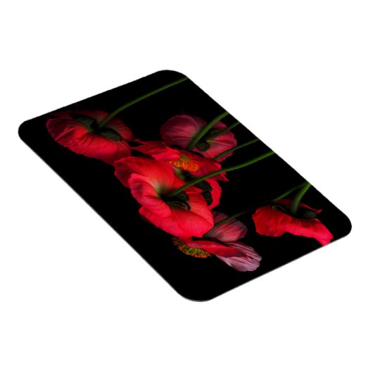 Blumen | Rote Pflaumen Magnet (Rechte Seite)