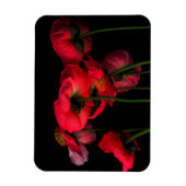 Blumen | Rote Pflaumen Magnet (Vertikal)