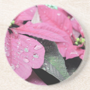 Blumen Sandstein Untersetzer