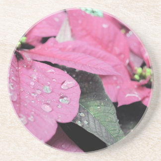 Blumen Sandstein Untersetzer