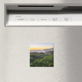 Blumen | Santa Cruz Kalifornien Magnet (In Situ (Geschirrspüler))