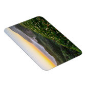 Blumen | Santa Cruz Kalifornien Magnet (Rechte Seite)