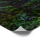 Blumen | Santa Cruz Kalifornien Poster (Ecke)