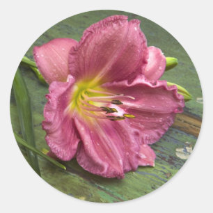 Blumen Shabby Chic Rosa Lilienblumen Aufkleber