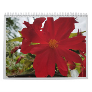 Blumen Sind Es 2026 Kalender