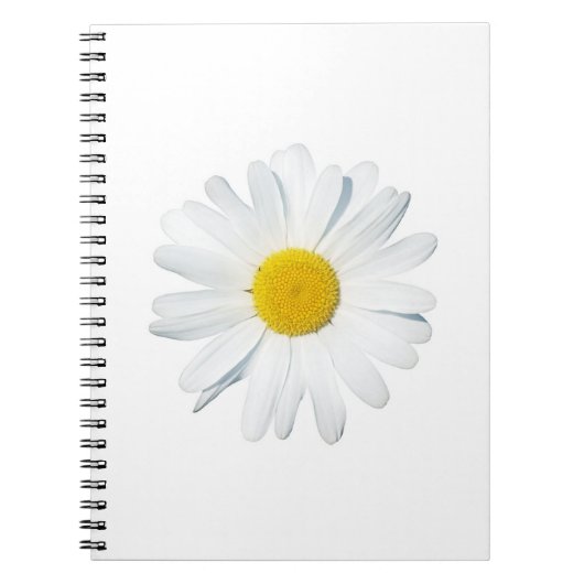 Blumen | Single Daisy Notizblock (Vorderseite)