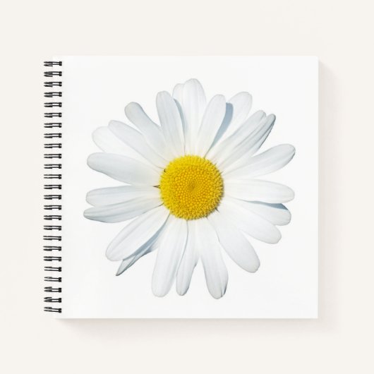 Blumen | Single Daisy Notizblock (Vorderseite)