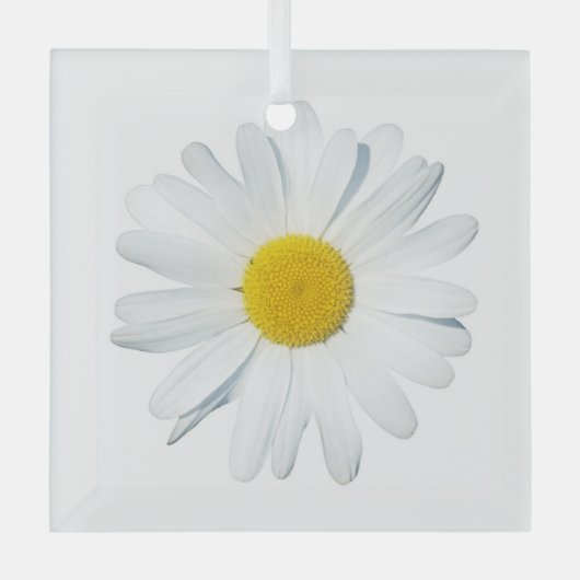 Blumen | Single Daisy Ornament Aus Glas (Vorderseite)