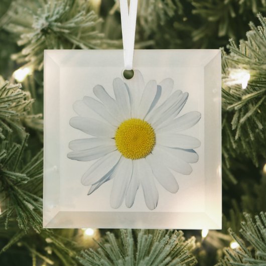 Blumen | Single Daisy Ornament Aus Glas (Insitu)