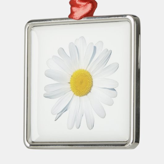 Blumen | Single Daisy Ornament Aus Metall (Links)