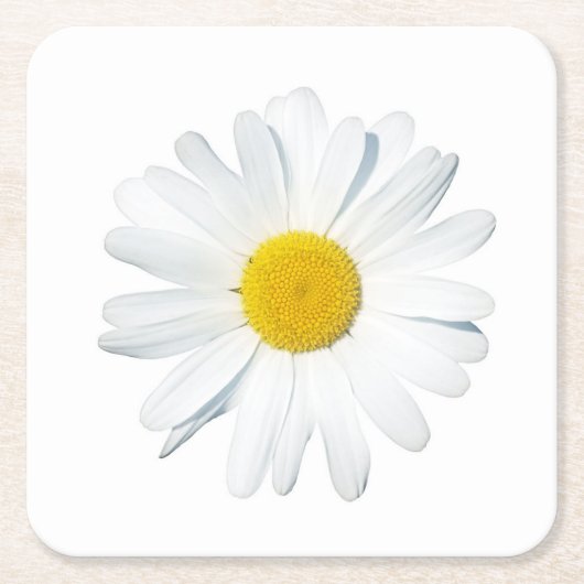Blumen | Single Daisy Rechteckiger Pappuntersetzer (Vorderseite)
