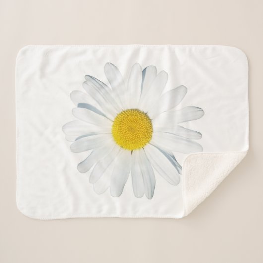 Blumen | Single Daisy Sherpadecke (Vorderseite (Horizontal))