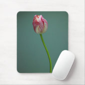 Blumen | Single Tulip Blume Mousepad (Mit Mouse)