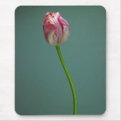 Blumen | Single Tulip Blume Mousepad (Vorne)