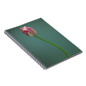 Blumen | Single Tulip Blume Notizblock (Rechte Seite)