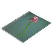 Blumen | Single Tulip Blume Notizblock (Linke Seite)
