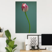 Blumen | Single Tulip Blume Poster (Heimbüro)