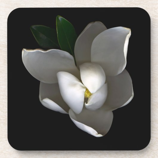 Blumen | Single White Magnolia Blossom Getränkeuntersetzer (Vorderseite)